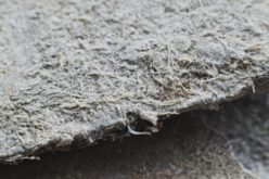 The Hidden Dangers of DIY Asbestos Removal