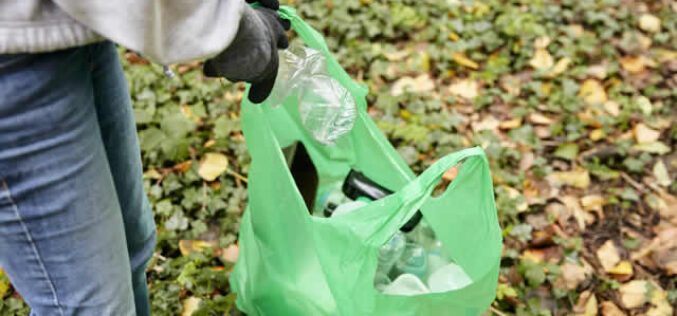 A Homeowner’s Guide To Durable Garden Bags: Say No To Green Wastes