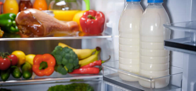 Is Your Fridge Keeping Secrets? The Expert Guide to Safe Food Storage