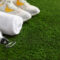 5 Overlooked Benefits of Installing Artificial Turf in Your Home