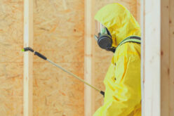 How to Integrate Pest Control into Your Home Renovation Project