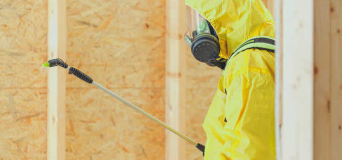 How to Integrate Pest Control into Your Home Renovation Project