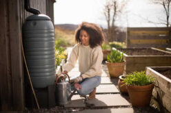 Create A Lush, Water-Wise Garden With Greywater Systems