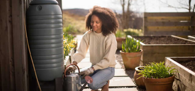 Create A Lush, Water-Wise Garden With Greywater Systems