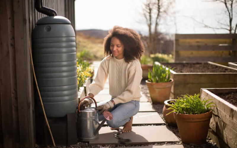 Create A Lush, Water-Wise Garden With Greywater Systems