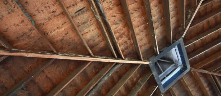 Beat The Heat: A Complete Guide To Attic Fans