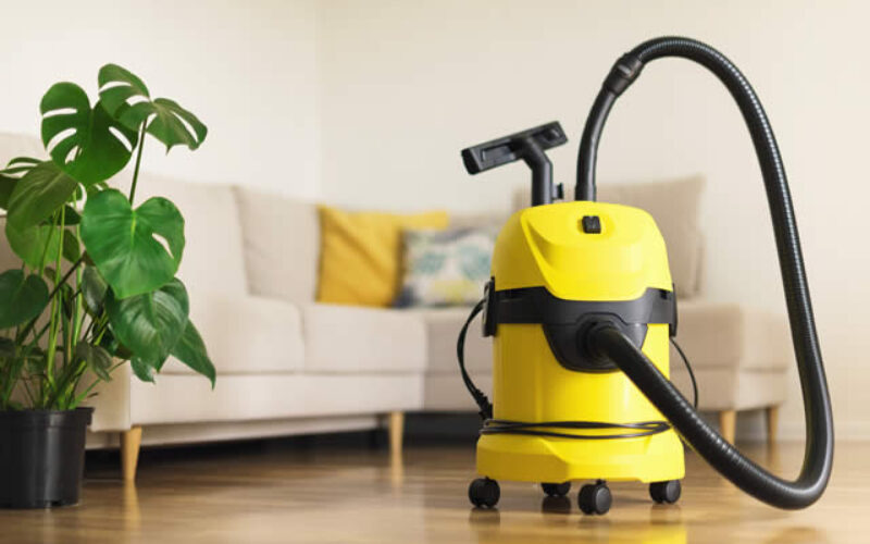 Find The Perfect Vacuum For Your Beautiful Home