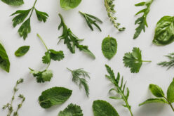Best Medicinal Herbs to Plant for Home Health