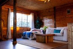 8 Affordable Cabin Ideas for Your Next Trip