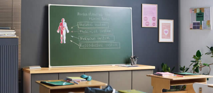 Design A Fantasy Theme Schoolroom For Kids