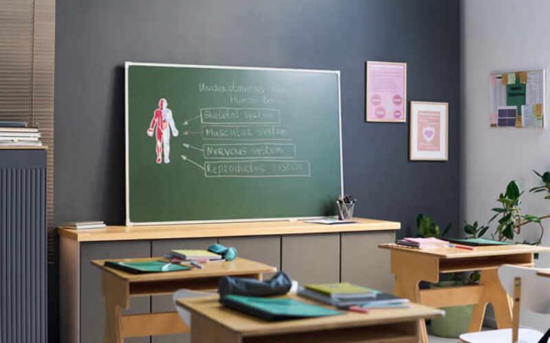 Design A Fantasy Theme Schoolroom For Kids