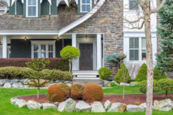 6 Ways to Elevate Your Front Yard’s Curb Appeal