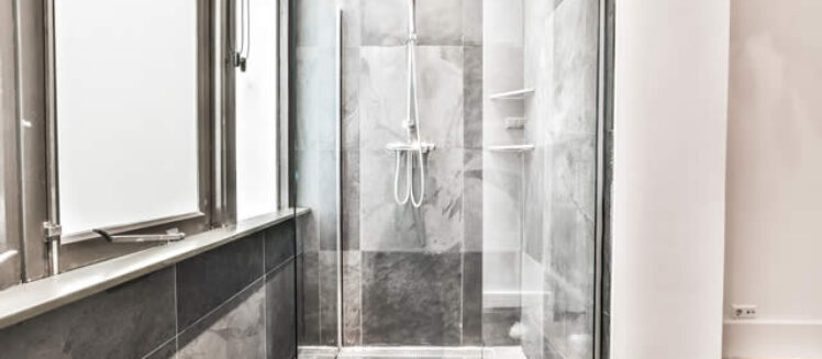 Designing Your Dream Walk-In Shower: Essential Amenities