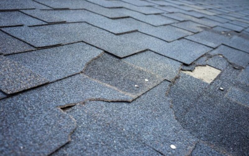 What To Do if Your Roof Has Missing or Damaged Shingles