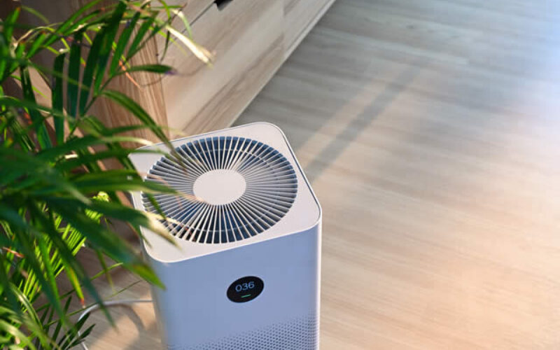 How to Build a Healthy Home Environment for Your Family