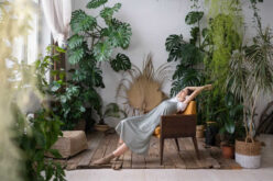 The Future of Living: How Interior Biophilic Design Can Transform Your Home
