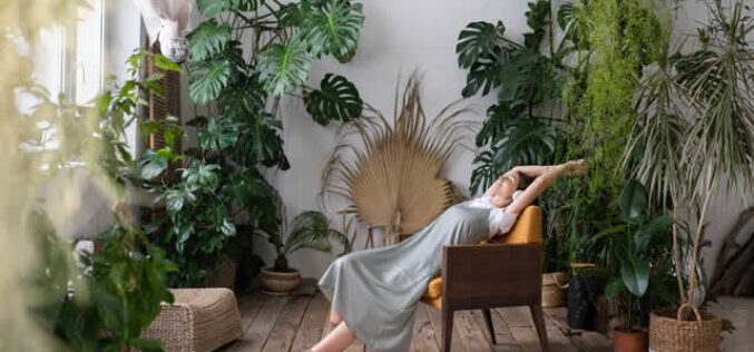 The Future of Living: How Interior Biophilic Design Can Transform Your Home