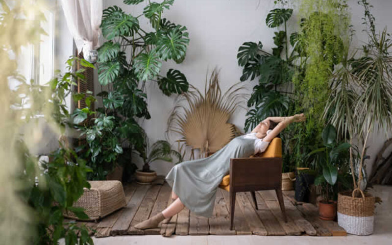 The Future of Living: How Interior Biophilic Design Can Transform Your Home