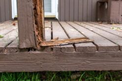 Common Causes of Damage on Your Backyard Structures