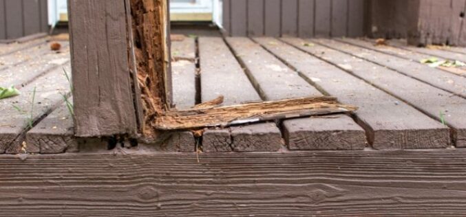 Common Causes of Damage on Your Backyard Structures