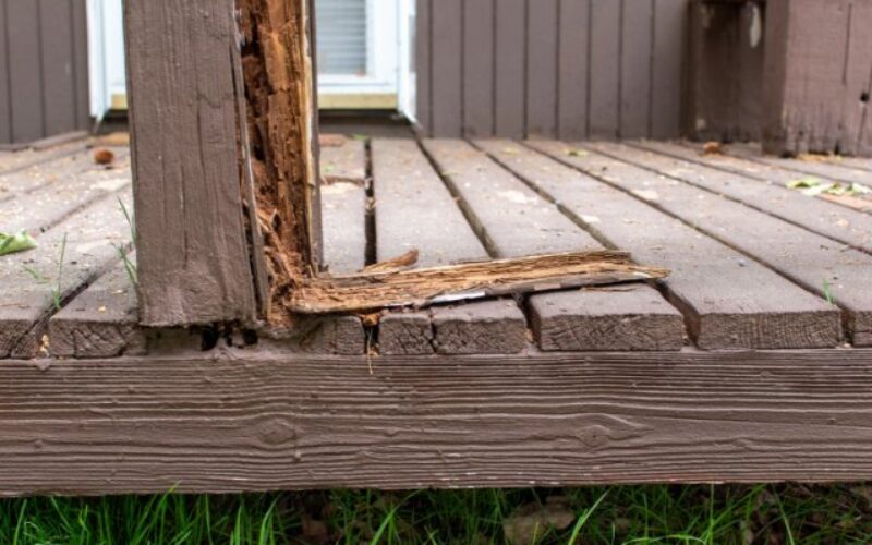 Common Causes of Damage on Your Backyard Structures