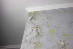 How to Prevent Mold Growth After Water Damage: A Complete Guide