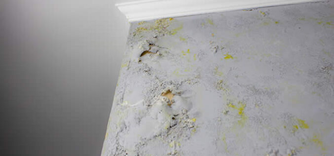 How to Prevent Mold Growth After Water Damage: A Complete Guide