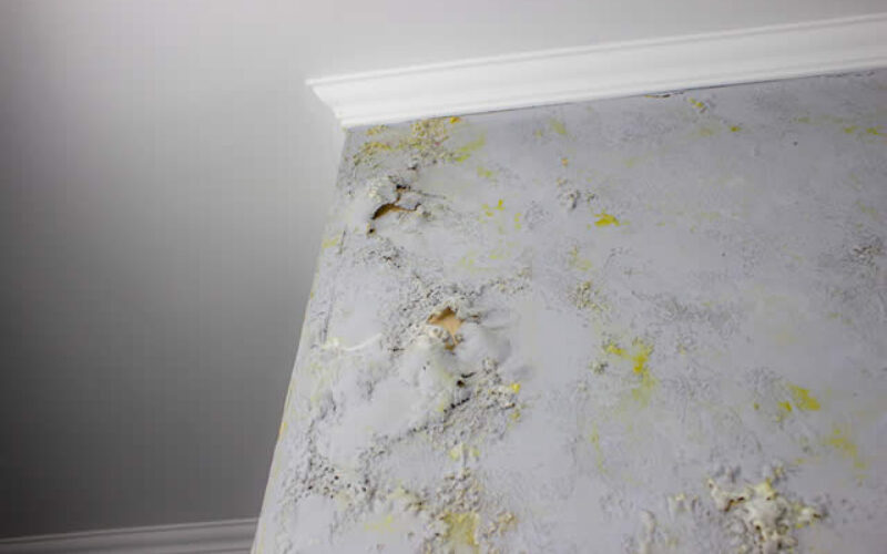 How to Prevent Mold Growth After Water Damage: A Complete Guide