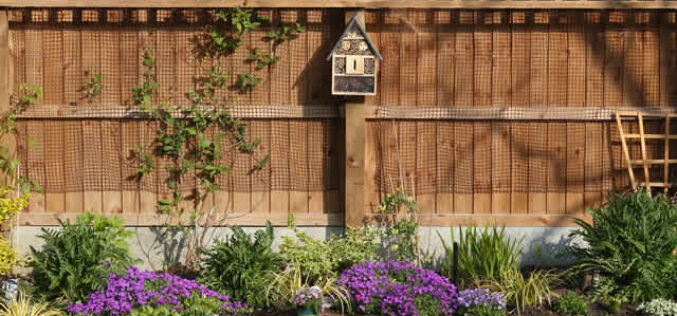 Comprehensive Solutions for Outdoor Living: Collaboration Among Industry Leaders