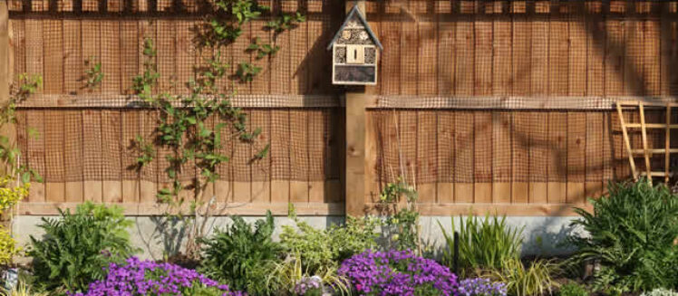 Comprehensive Solutions for Outdoor Living: Collaboration Among Industry Leaders