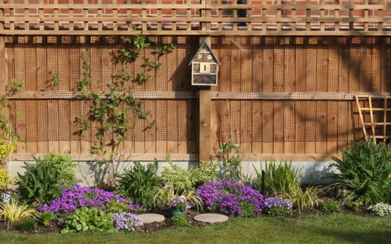 Comprehensive Solutions for Outdoor Living: Collaboration Among Industry Leaders