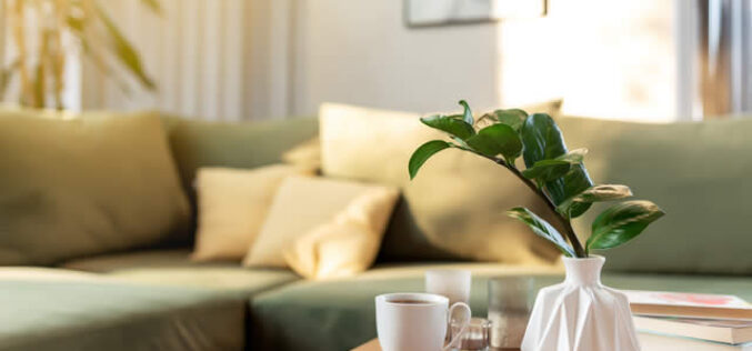 Summer Refresh Tricks That Make Your Home Feel Brand New