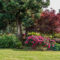 Summer Is Your Best Window for a Smart Tree Evaluation