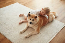 The Best Rugs for Homes with Kids and Pets
