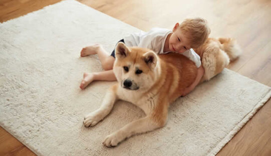 The Best Rugs for Homes with Kids and Pets