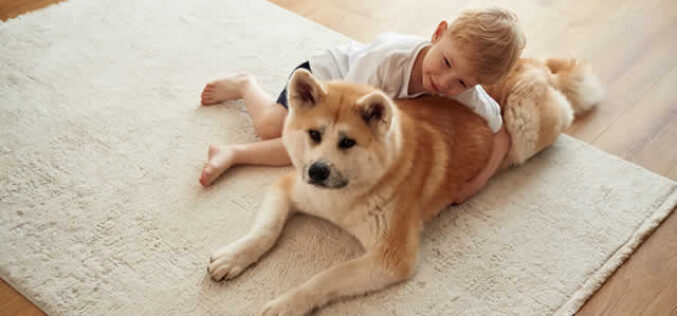 The Best Rugs for Homes with Kids and Pets