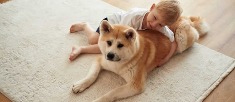 The Best Rugs for Homes with Kids and Pets