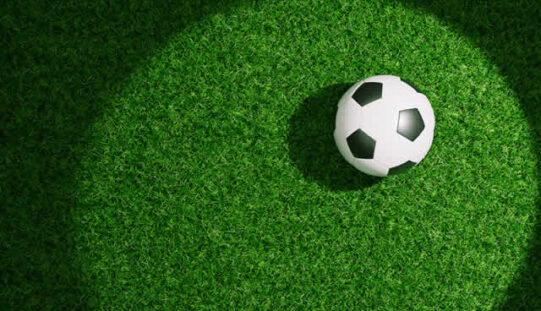 How Synthetic Turf Helps Create Low-Maintenance Outdoor Spaces