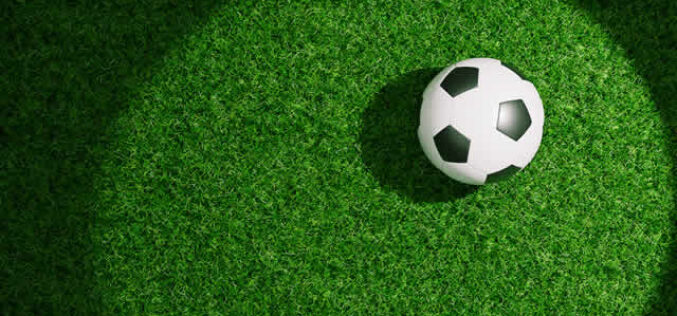 How Synthetic Turf Helps Create Low-Maintenance Outdoor Spaces