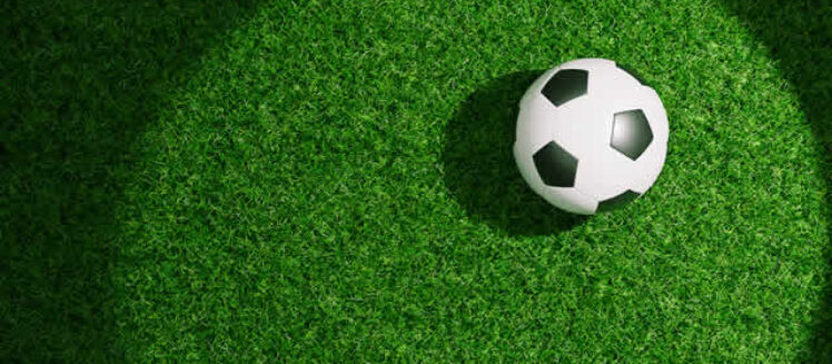 How Synthetic Turf Helps Create Low-Maintenance Outdoor Spaces