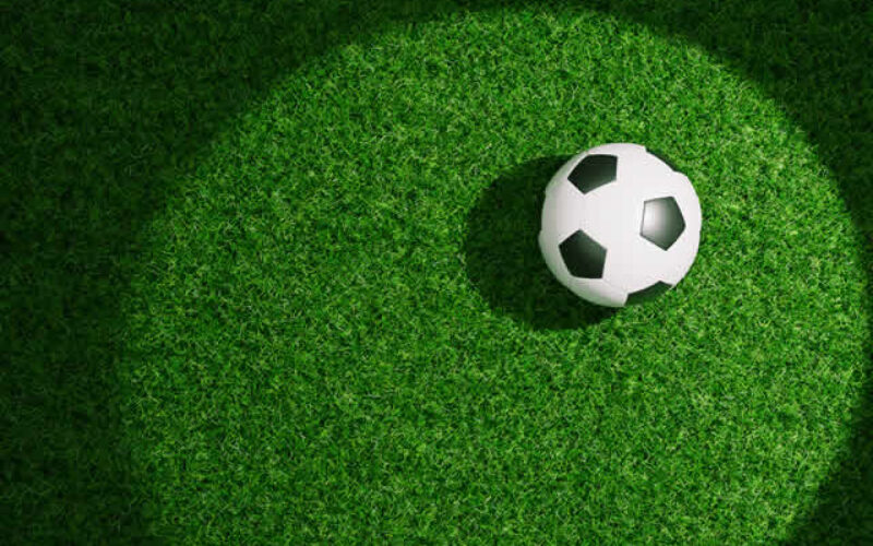 How Synthetic Turf Helps Create Low-Maintenance Outdoor Spaces