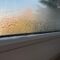 Why Your Windows Fog Up During Summer Heat