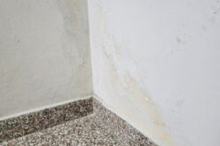 Ways to Protect High-Moisture Areas Throughout Your Home