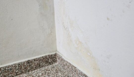 Ways to Protect High-Moisture Areas Throughout Your Home