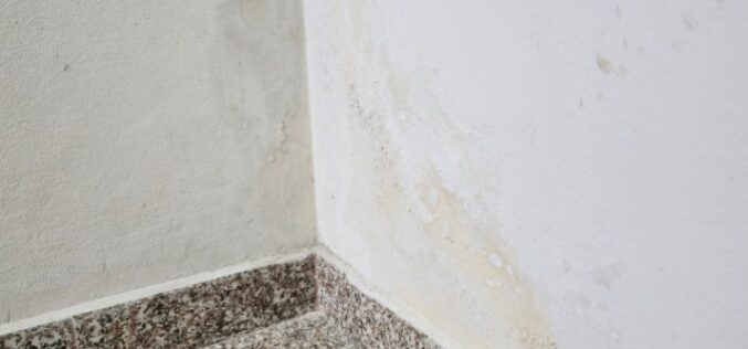 Ways to Protect High-Moisture Areas Throughout Your Home