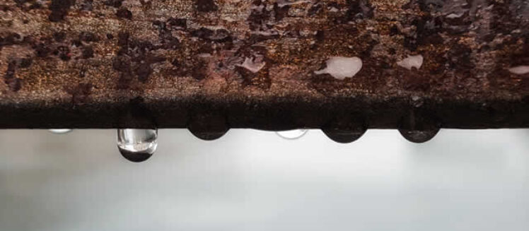 Basement Leaking After Heavy Rain? Here’s What To Do Now