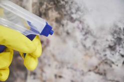 Why a Professional Is Needed to Combat Mold