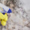 Why a Professional Is Needed to Combat Mold
