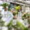 5 Creative Ways to Reuse Glass Bottles in the Garden