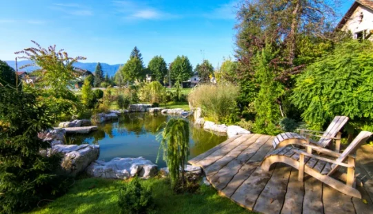 What To Consider Before Adding a Backyard Pond